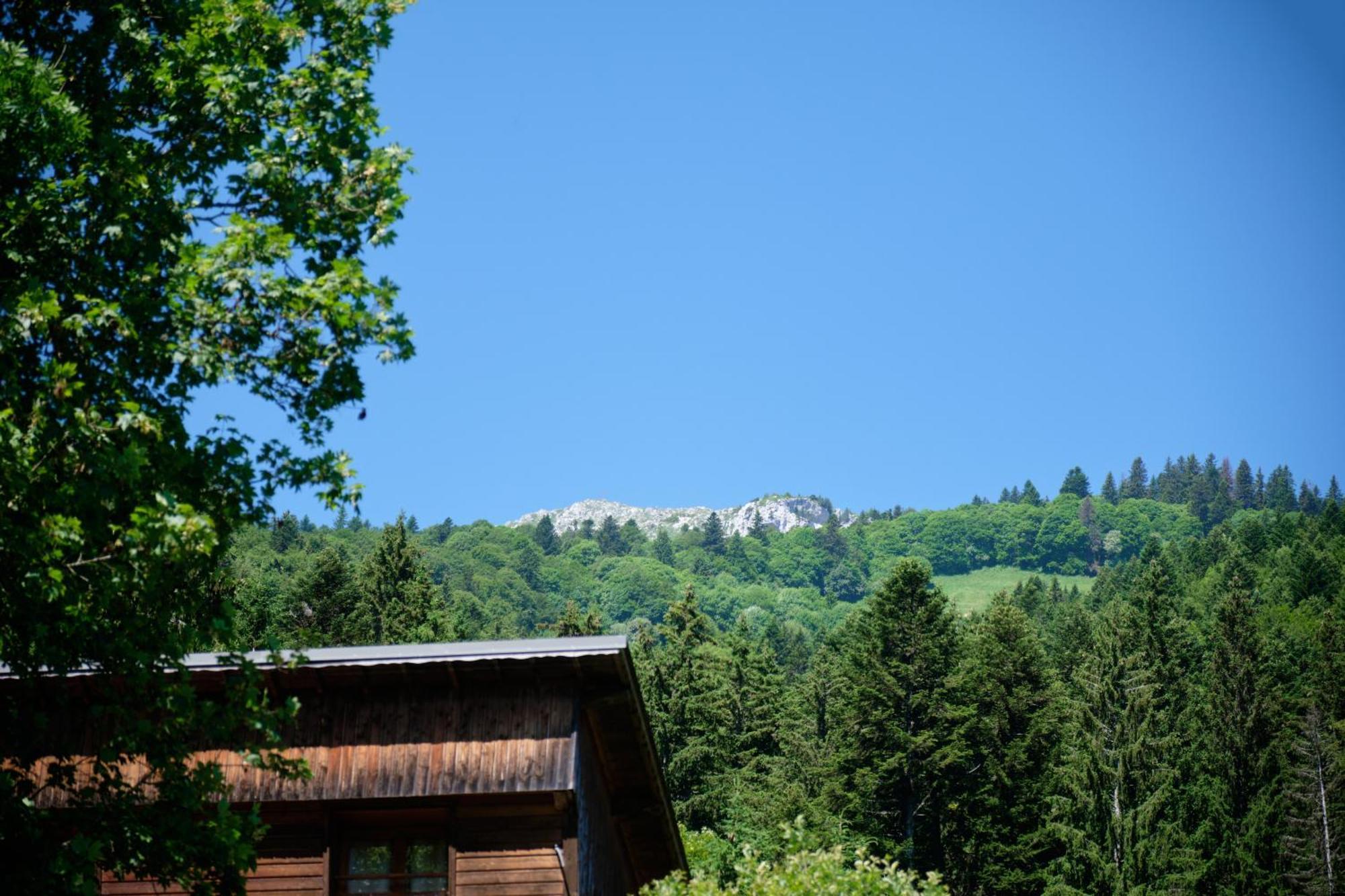 Saint-Pierre-d'Entremont  Chalet Le Lys Martagon מראה חיצוני תמונה